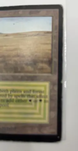 MAGIC THE GATHERING MTG SAVANNAH  ALPHA  PLAYED NO CREASES  VINTAGE - Image 2