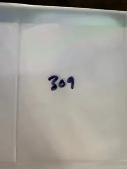 Magic The Gathering: Alpha Benalish Hero MTG Alpha - Image 3