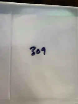 Magic The Gathering: Alpha Benalish Hero MTG Alpha - Image 6