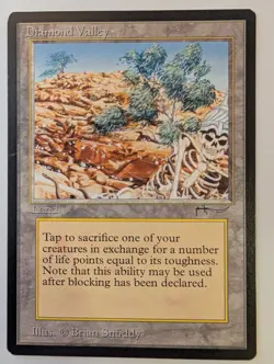 Diamond Valley Arabian Nights Regular - Image 10