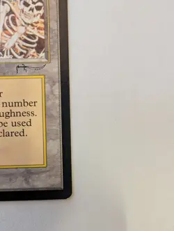 Diamond Valley Arabian Nights Regular - Image 11