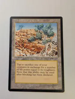 Diamond Valley Arabian Nights Regular - Image 13