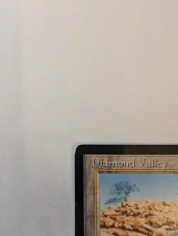 Diamond Valley Arabian Nights Regular - Image 14