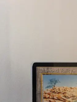 Diamond Valley Arabian Nights Regular - Image 3