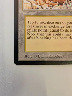 Diamond Valley Arabian Nights Regular - Image 4