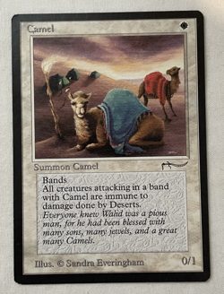 1x Camel - Arabian Nights - MTG - Magic the Gathering - LP - Image 5