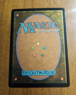 2025 MTG - TRAVELING CHOCOBO - (Borderless)(FOIL) - Final Fantasy - MINT - Image 5