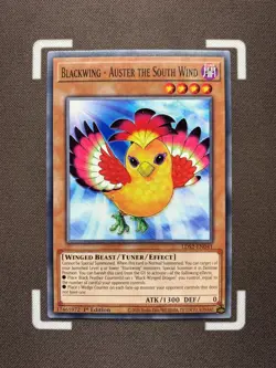 Blackwing - Auster the South Wind - LDS2-EN041 - Common - 1st Edition Yugioh - Image 1