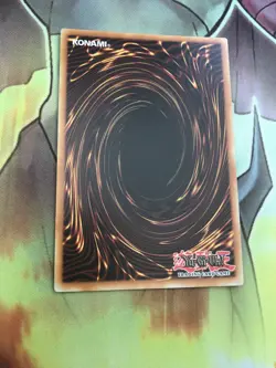 DRL2-EN018 Paladin Of Dark Dragon Secret Rare 1st Edition Yugioh Card Sleeved NM - Image 8