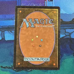 Signed Wyluli Wolf Dark MP Arabian Nights Artist Susan Van Camp MTG Magic - Image 3