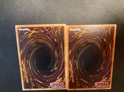 Masked Dragon SDDL-EN020 SDRL-EN013 - Common - 1st Edition - LP - X2 - Image 11