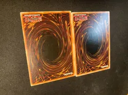 Masked Dragon SDDL-EN020 SDRL-EN013 - Common - 1st Edition - LP - X2 - Image 8