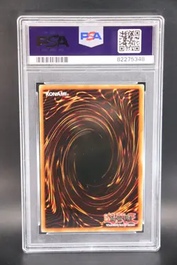 Acid Trap Hole (Dark Duel Stories) DDS-005 Yu-Gi-Oh! Video Game Promotional Cards Unlimited - Image 3
