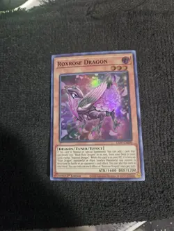 Roxrose Dragon - LIOV-EN009 - Super Rare - 1st Edition NM YuGiOh! - Image 3