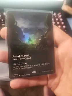 Breeding Pool NM Foil #278 MTG EOE Borderless Edge of Eternities - Image 1