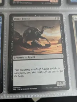 Dune Beetle  89/269 MTG  NM Amonkhet (F) - Image 1