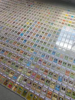 Vintage Pokemon Graded Card Pack - 2006 Or Older (PSA BGS CGC) 1FF - Image 3