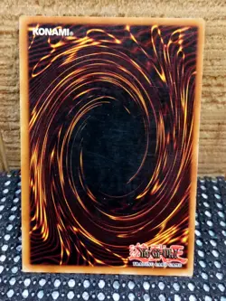 Paladin Of White Dragon DPKB-EN024 Yu-Gi-Oh! Light Play Unlimited - Image 5