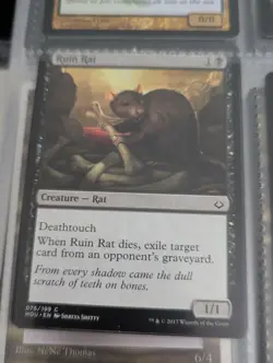 MTG Ruin Rat ** Hour of Devastation ** English (NM) (F) - Image 1