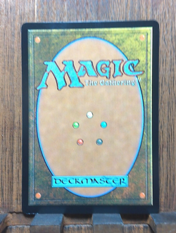 Artist's Talent Bloomburrow Foil - Image 7