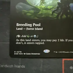 x1 Breeding Pool - Foil - Borderless R MTG Edge of Eternities M/NM, English - Image 3