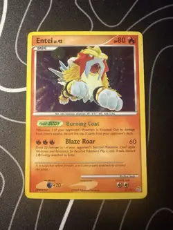 ENTEI 4/132 Secret Wonders shattered/cracked ice HOLO Promo Pokemon card NM - Image 11