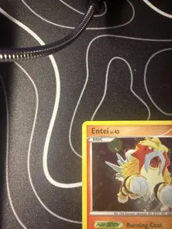 ENTEI 4/132 Secret Wonders shattered/cracked ice HOLO Promo Pokemon card NM - Image 2