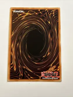 Yu-Gi-Oh! Black-Winged Dragon 1st Ed. MP24-EN028 Quarter Century Rare NM - Image 3