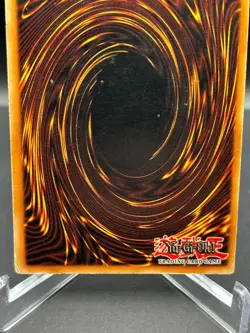 Red Eyes B. Dragon SDJ-001 1st Edition Yu-Gi-Oh! TCG Rare Vintage Card - Image 5