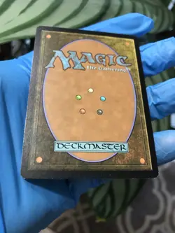 Waste Not - Magic 2015 -Â MTG - English - Condition Displayed In Many Pictures - Image 20