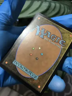 Waste Not - Magic 2015 -Â MTG - English - Condition Displayed In Many Pictures - Image 21