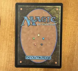 Sungrass Prairie, R 0428, NM Surge Foil, MTG Final Fantasy FIC Commander Chocobo - Image 3