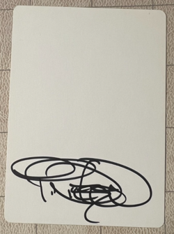 Faerie Trickery Lorwyn Artist Proof Signed by Terese Nielsen - Image 4