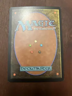 MTG: Magic The Gathering - FOIL Argothian Enchantress x 4 (Judge Gift 2003) - Image 4
