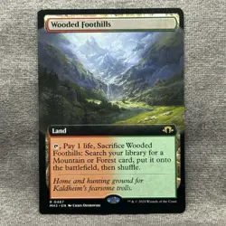 Wooded Foothills – MH3 #467 Extended Art – LP Non-Foil Rare – MTG Magic - Image 1