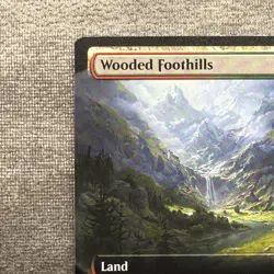 Wooded Foothills – MH3 #467 Extended Art – LP Non-Foil Rare – MTG Magic - Image 12