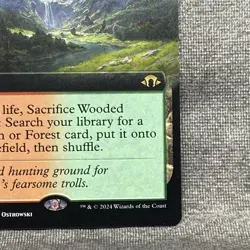 Wooded Foothills – MH3 #467 Extended Art – LP Non-Foil Rare – MTG Magic - Image 15