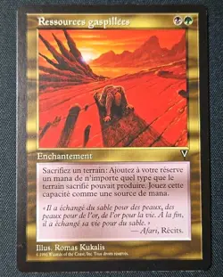 Squandered Resources French MtG Visions Ressources GaspillÃ©es 1996 - Image 1