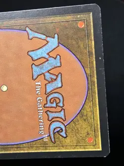 Squandered Resources French MtG Visions Ressources GaspillÃ©es 1996 - Image 10