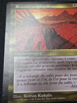 Squandered Resources French MtG Visions Ressources GaspillÃ©es 1996 - Image 9