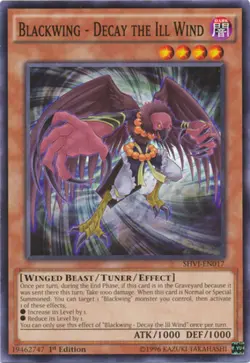 Yugioh! MP Blackwing - Decay the Ill Wind - SHVI-EN017 - Common - 1st Edition Mo - Image 1