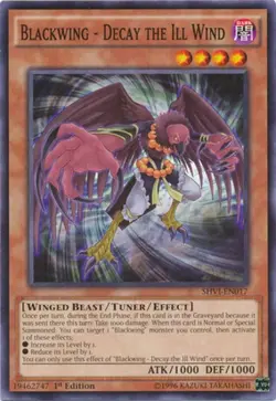 Yugioh! MP Blackwing - Decay the Ill Wind - SHVI-EN017 - Common - 1st Edition Mo - Image 2