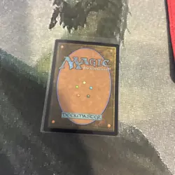 MTG Wizard Class - Adventures in the Forgotten Realms (AFR) #81 MTG - Image 13