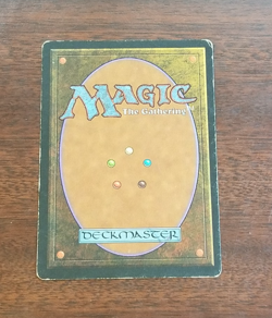 💥 MTG SAVANNAH Dual Land Revised Rare MAGIC THE GATHERING Card 💥 - Image 12