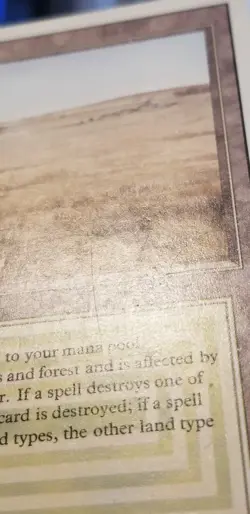 💥 MTG SAVANNAH Dual Land Revised Rare MAGIC THE GATHERING Card 💥 - Image 6