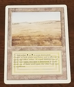 💥 MTG SAVANNAH Dual Land Revised Rare MAGIC THE GATHERING Card 💥 - Image 8