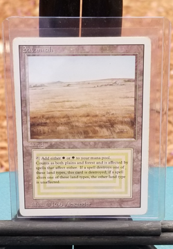 💥 MTG SAVANNAH Dual Land Revised Rare MAGIC THE GATHERING Card 💥 - Image 9