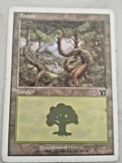 Forest (347) Classic MTG Core Set 6th Edition - Image 1