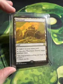MTG Wasteland Eternal Masters 248/249 Magic: The Gathering Card, NM Regular Rare - Image 4