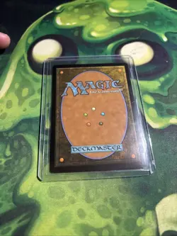 MTG Wasteland Eternal Masters 248/249 Magic: The Gathering Card, NM Regular Rare - Image 5